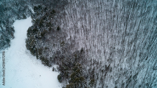 Foto High up over a winter forest showcasing dark green snow-covered evergreens on the left and a dense thicket of bare deciduous trees on the right with a frozen wetland in the bottom corner