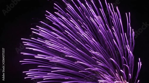Vibrant purple plant fibers on black.