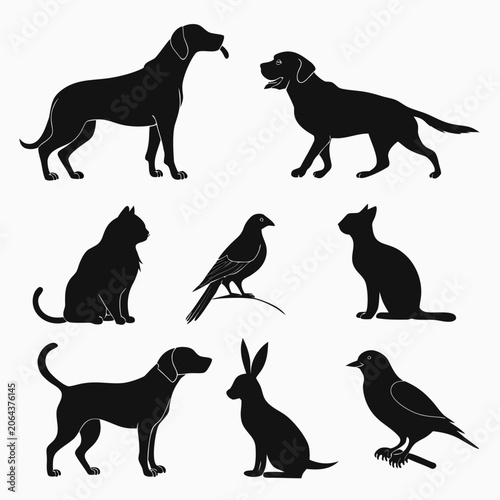 Animal Silhouettes Featuring Dogs Cats Birds And A Rabbit On A White Background