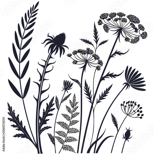 Wildflower silhouette collection a black and white botanical illustration against a transparent background