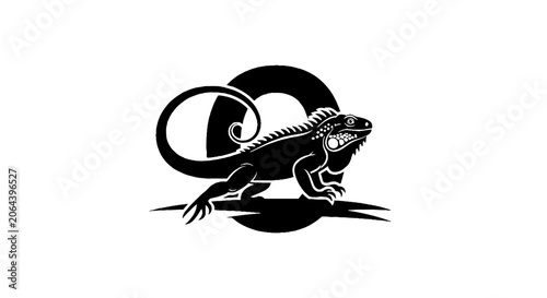 Black and white lizard with circular design element.
