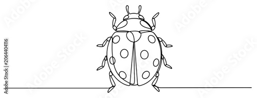 Ladybug beetle insect top view in continuous line art style