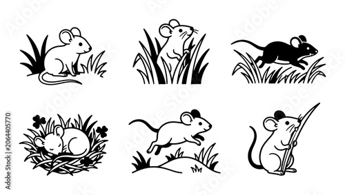 Konstfotografi Cute Mouse Vector Icons, Rodent Graphics Set, Small Animal Illustrations, Nature
