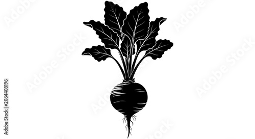Konstfotografi Black silhouette of a turnip with leafy greens on white background
