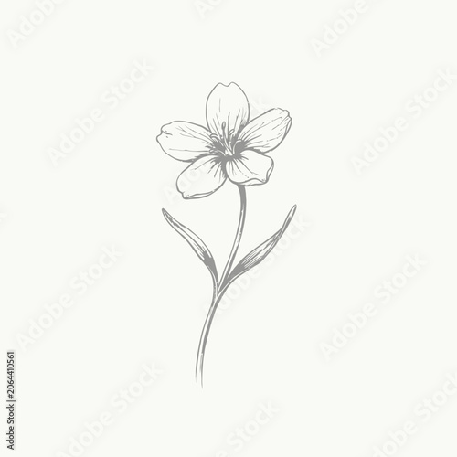 Detailed drawing of a single flower.