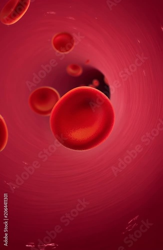 Close-up view of red blood cells flowing through a human blood vessel, illustrating the circulatory system.
