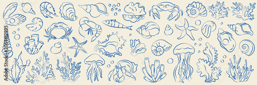 Photography Hand-drawn underwater sea animals, corals, seaweed, shells, mollusk, jellyfish,