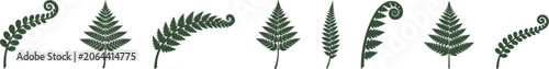 Fern Leaves Silhouette Vector Set – Botanical Fronds and Fiddleheads Icons