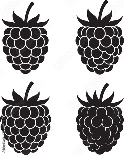 Fotografie Black raspberry icons, blackberry fruit silhouettes, 4 berry vectors isolated on