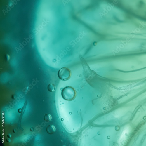 Close-up of Abstract Aquatic Texture with Bubbles and Fluid Shapes in Shades of Blue and Green