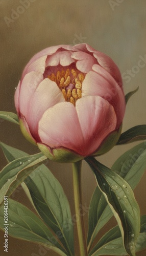 Close-up of a blooming pink peony flower with delicate petals and green leaves against a soft, muted background