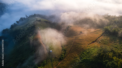 Misty Mountain Farmland Forest at Sunrise with Low Clouds Rolling Over Green Hills in Countryside