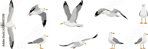 Fotografija Seagull cartoon character poses vector illustration set with wild sea birds flying gliding and standing for marine coastal design layouts