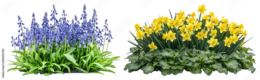 Obraz premium PNG Vibrant spring flowers in bloom on transparent background