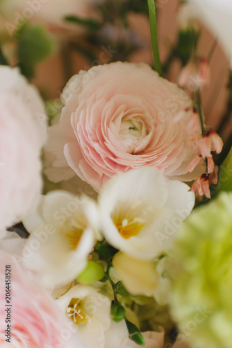 Macro shot of beautiful pink ranunculus petals in a luxurious spring bouquet. Tender floral texture with soft selective focus.