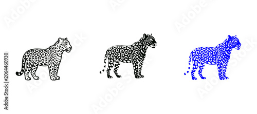 Photography jaguar fullbody