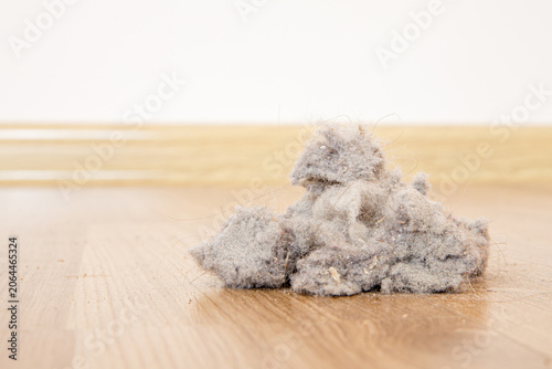 Konstfotografi Dust and dirt on a wooden floor with copy space