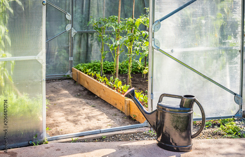 Greenhouse in back garden with open door and bailer
