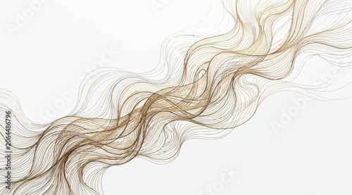 Obraz na plátně Abstract flowing lines representing hair or wind currents, elegant golden ink sk