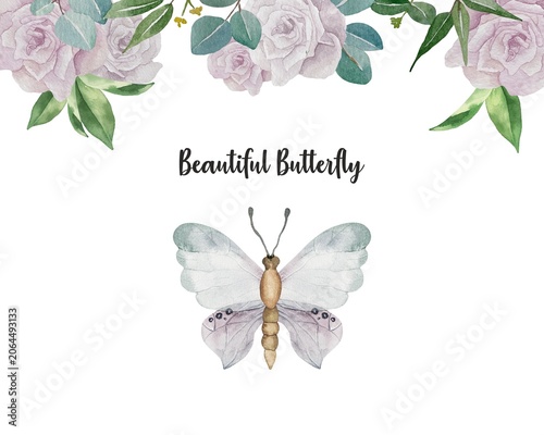Watercolor Butterfly with Floral Border