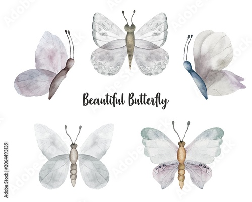 Watercolor Butterfly Elements Collection