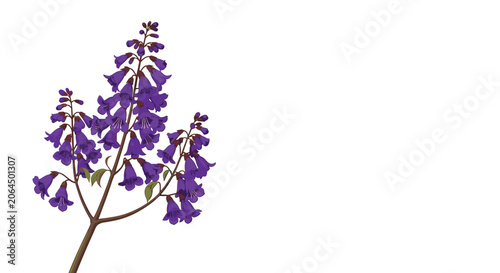 Branch of deep purple bell-shaped flowers with small buds and green leaves is depicted on a minimalist white background.