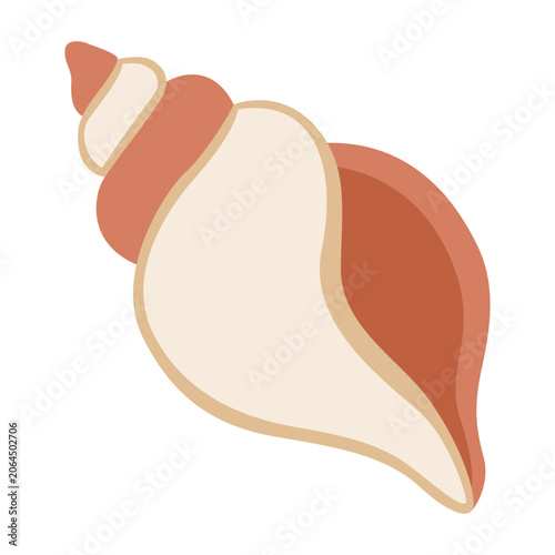 Shell on a White Background With a Smooth Design and Simple Shape