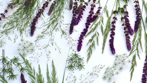 Natural Background with Summer Wild Meadow Flowers, Wildflowers, Herbs, Meadow Plants and Grasses Flat Lay Slow Motion Vertical Video
