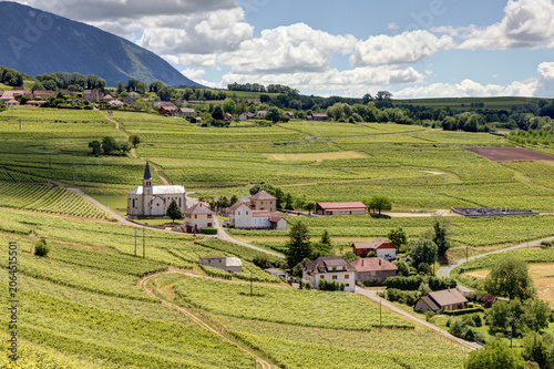 Slika na platnu Vue sur le village de Jongieux près du lac du Bourget dans le département de la