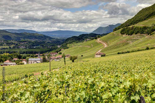 Slika na platnu Vue sur le village de Jongieux près du lac du Bourget dans le département de la