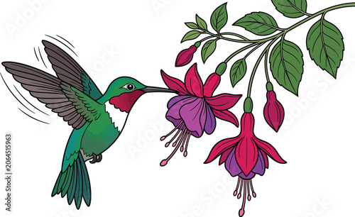 hummingbird and flowers