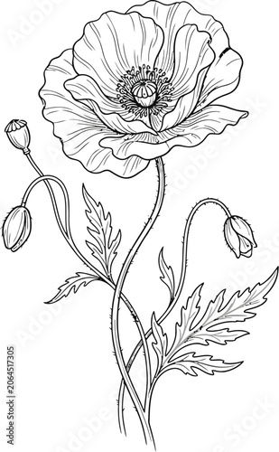 hand drawn vector illustration