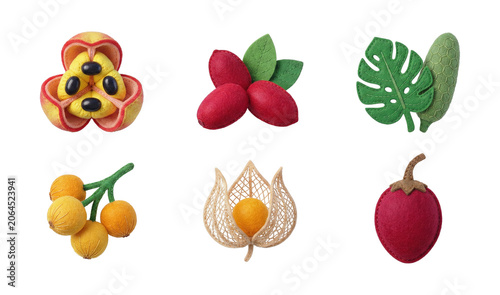 Foto Collection of exotic tropical fruits and leaves handcrafted with felt/fabric mat
