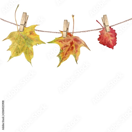 A hand-painted watercolor composition of autumn red and yellow maple and aspen leaves, hung on clothespins from a rope against an isolated background. Simple clip art for design with space for text