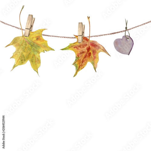 A hand-painted watercolor composition of autumn red and yellow maple leaves and a heart, suspended from clothespins on a rope, against an isolated background. Simple clip art with space for text.