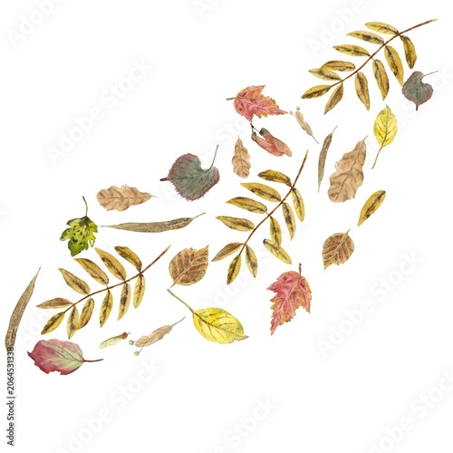 A square composition featuring a swirl of autumn leaves in red, yellow, beige, and orange, hand-painted in watercolor on an isolated background. Simple botanical clip art for design