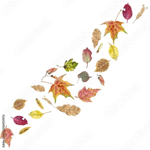 A square composition featuring a swirl of autumn leaves in red, yellow, beige, and orange, hand-painted in watercolor on an isolated background. Simple botanical clip art for design