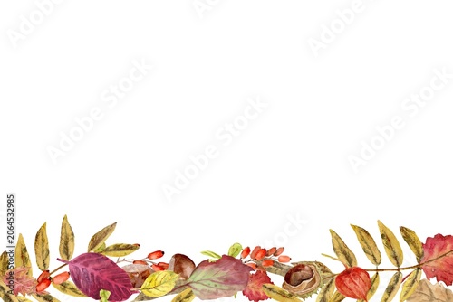 A rectangular composition with autumn red, yellow and orange leaves, chestnuts, and berries on an isolated background, hand-painted in watercolor. Simple botanical clip art with space for text