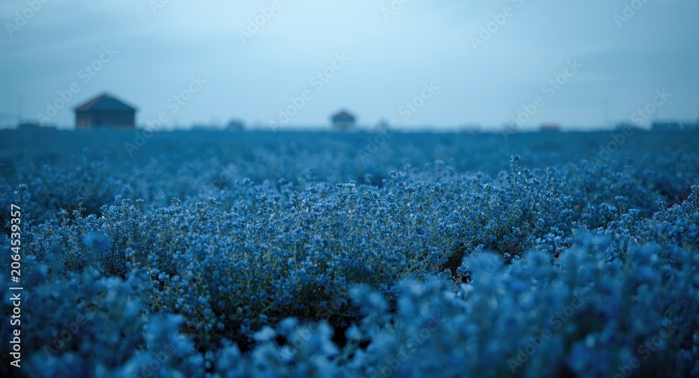 Obraz premium Wide landscape format with beautiful blue flowers and ample copy space featuring cool blue shades