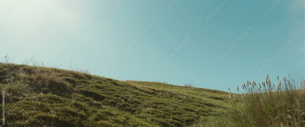 Obraz premium Green hillside under a clear blue sky