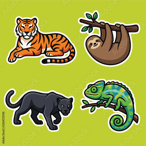 Photography Collection of various wild animals including a tiger, sloth, panther, and chameleon