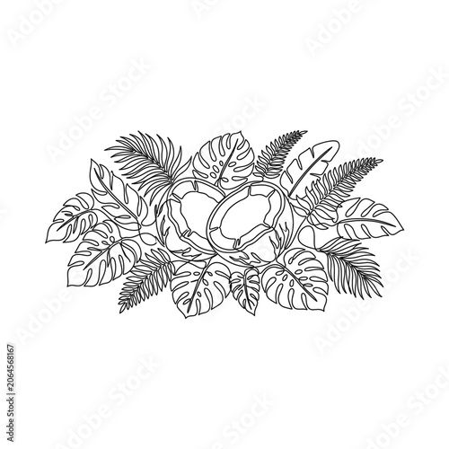 Tropical Coconut Halves with Exotic Leaves Outline Illustration