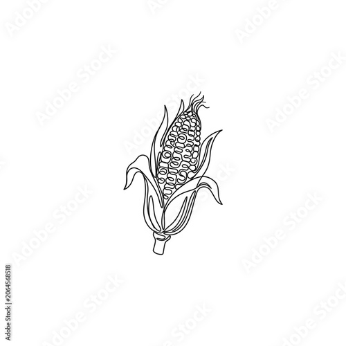 Minimalist Corn Ear Line Art Illustration, Single Line Drawing