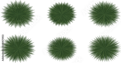 Foto Collection of Coniferous Tree Icons in Top-Down View for Landscape Architecture