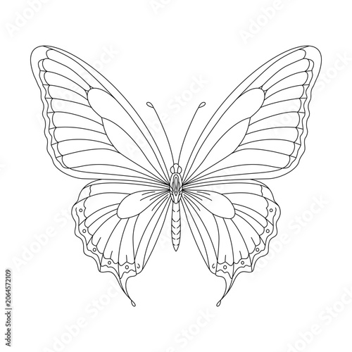 Butterfly Coloring Page Outline Vector Illustration, Symmetrical Black and White Line Art