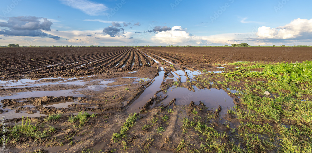 Obraz premium Mud pools reflect a cloudy sky above rows of freshly tilled earth