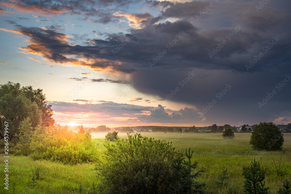Fototapeta premium Sunset bathes open field in golden glow