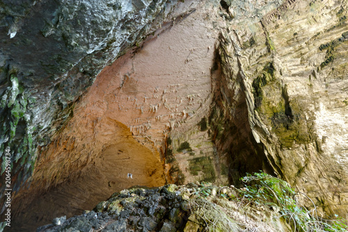 Fotografía Detailed cave ceiling with earthy textures and plant growth