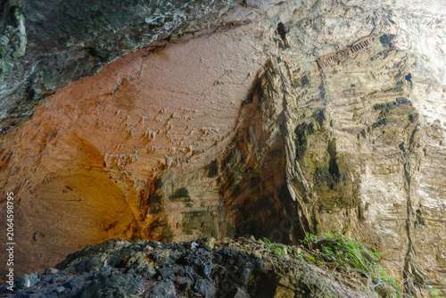 Obraz na płótnie Detailed cave ceiling with earthy textures and plant growth