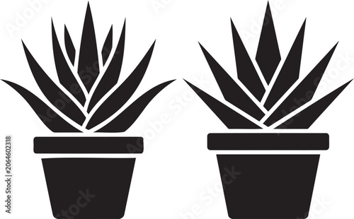 Two potted succulent plants icons isolated on white background.